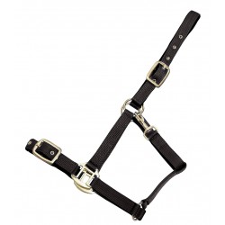 Nylon Halter with Padding, Horse Comfort