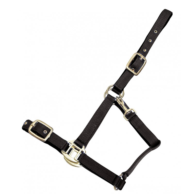 Nylon Halter with Padding, Horse Comfort