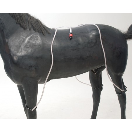 Water Tubes for Horses - 1 set.
