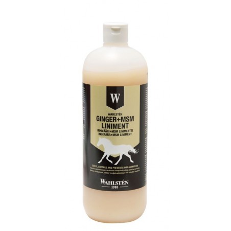 W-Ginger + MSM Liniment 1 liter - 1 vnt.