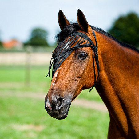 Horze - Simple Fly Fringe Veil