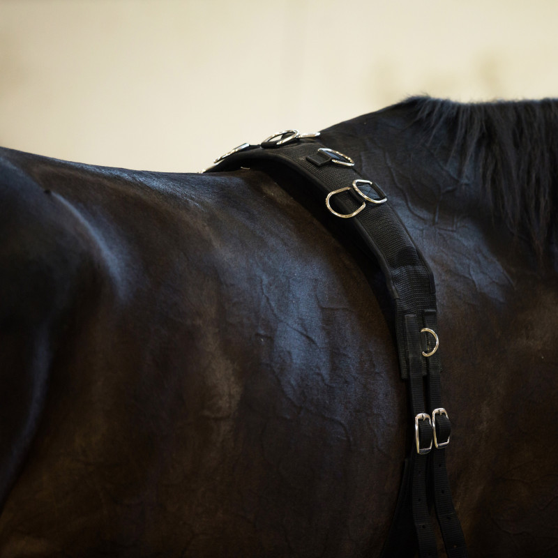 Horze - Lunging Girth, Nylon - Size FULL