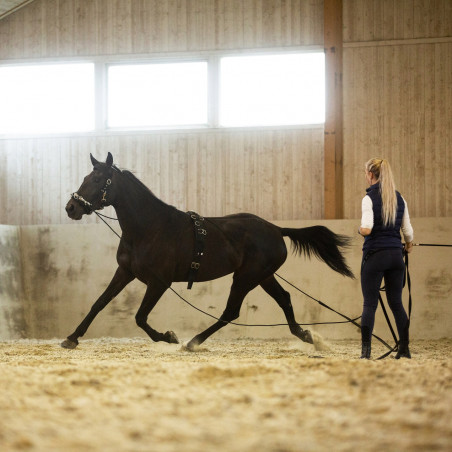 Horze - Lunging Girth, Nylon - Size FULL
