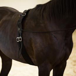 Horze - Lunging Girth, Nylon - Size FULL