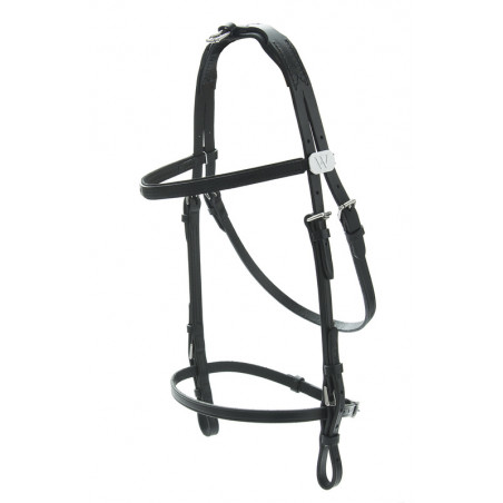 W-Bridle without Overcheck, Heavier Model