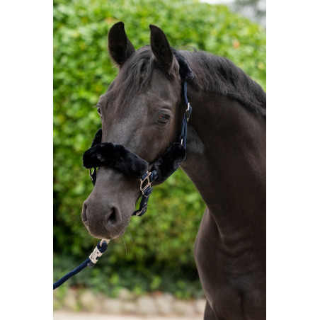 Lami-Cell - Bridle Cover for Halter, set of 4 pieces, Black
