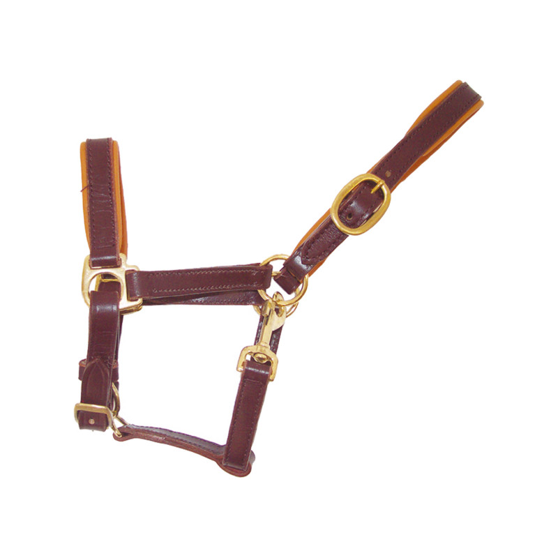 Adjustable Foal Leather Halter