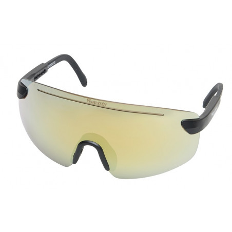 Revo Dark Googles, Gold Mirror Lenses