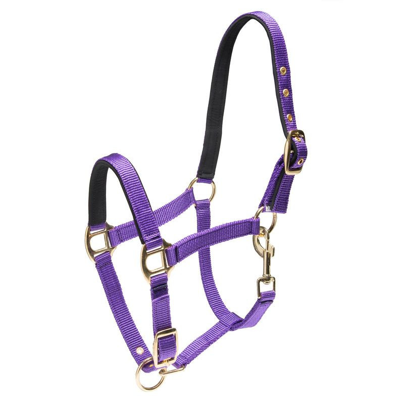 Wahlsten Shettis Nylon Halter for Shetland Pony