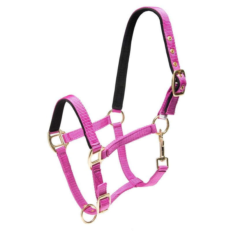 Wahlsten Shettis Nylon Halter for Shetland Pony