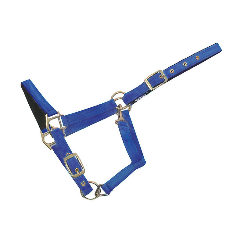 Wahlsten Shettis Nylon Halter for Shetland Pony