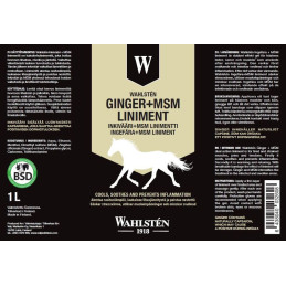 W-Ginger + MSM Liniment 1 liter - 1 pcs.