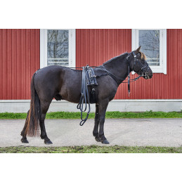 Wahlsten Premium Next Level QH Harness Complete, Biothane, Pony