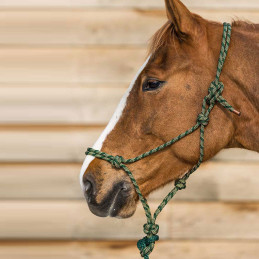 Mountain Climbing Rope Halter, 3/8" Dpp braided with Lead Rope, Green